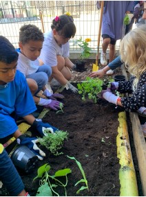 Création d’un jardin potager avec Perma’kiltir