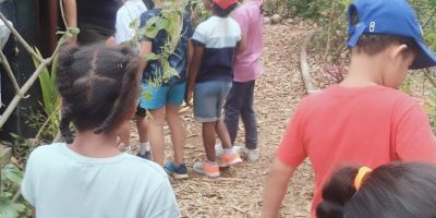 Autour des ruches
