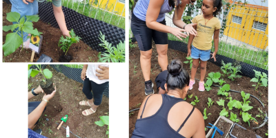 Notre potager de PS/MS reprend vie !