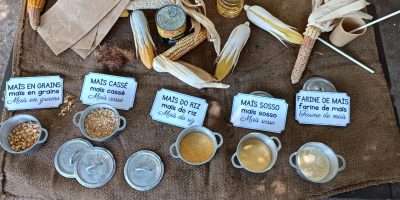 Sortie à la maison du Coco