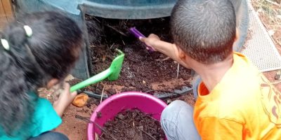 Utilisation du compost