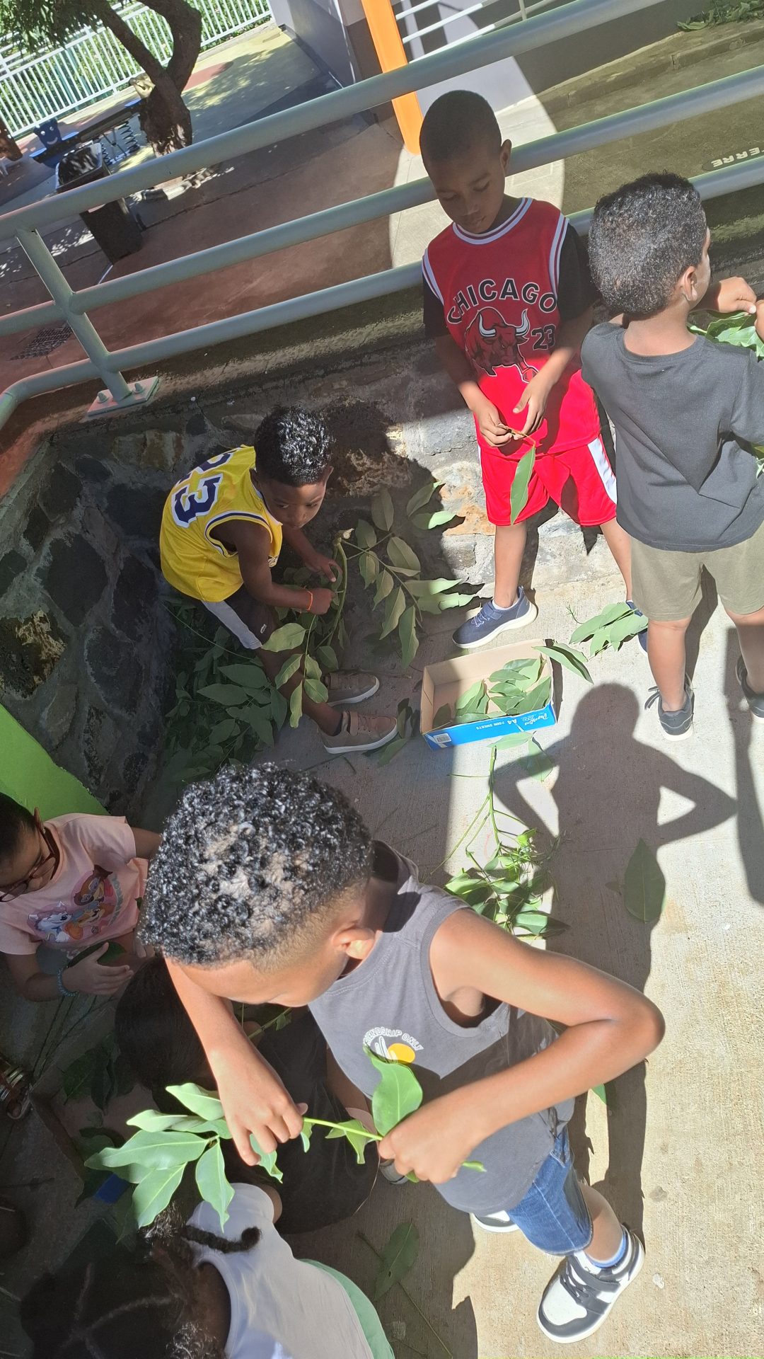 On continue le compost!