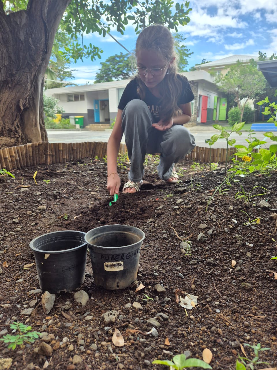 POTAGER DE LA CLASSE DE CM2