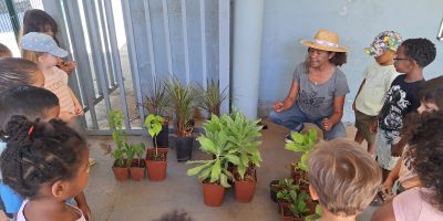 Une mini forêt de plantes odorantes pour aider les tortues marines à revenir pondre à la Réunion
