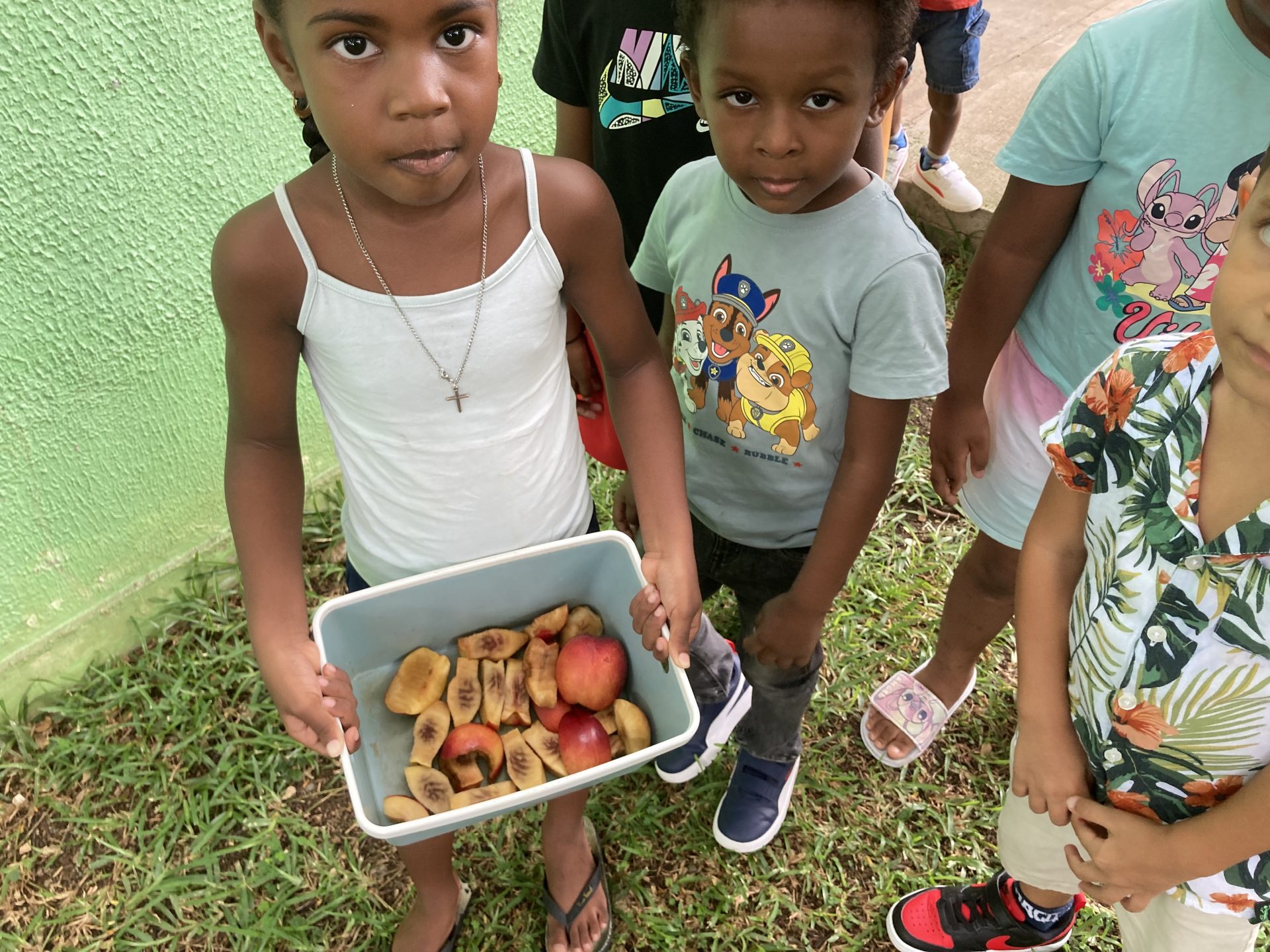 Tri de déchets organiques
