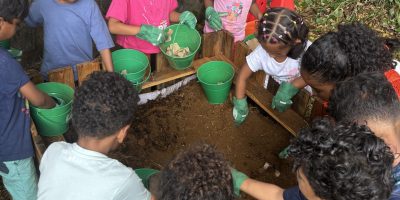 Mise en place d’un potager autonome
