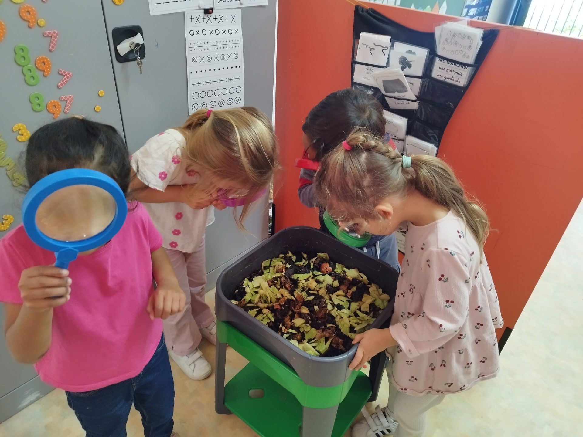 Lombricomposteur année 2