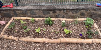 L’installation de notre jardin des sens