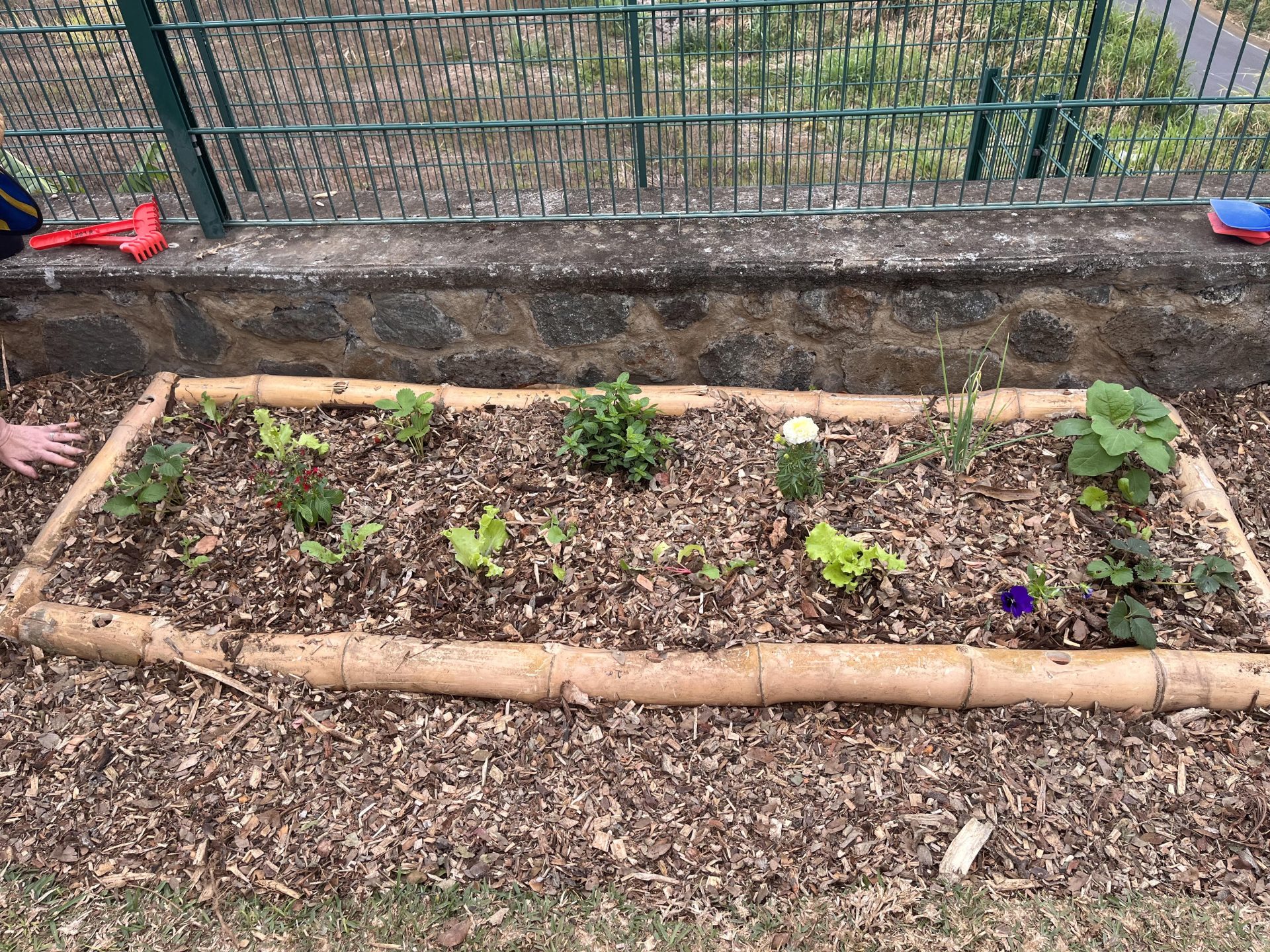 L’installation de notre jardin des sens