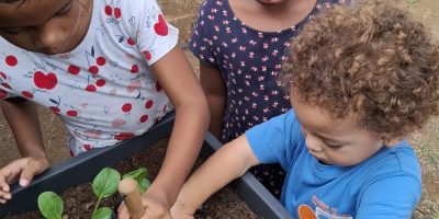 Observation de notre compost et démarrage du potager