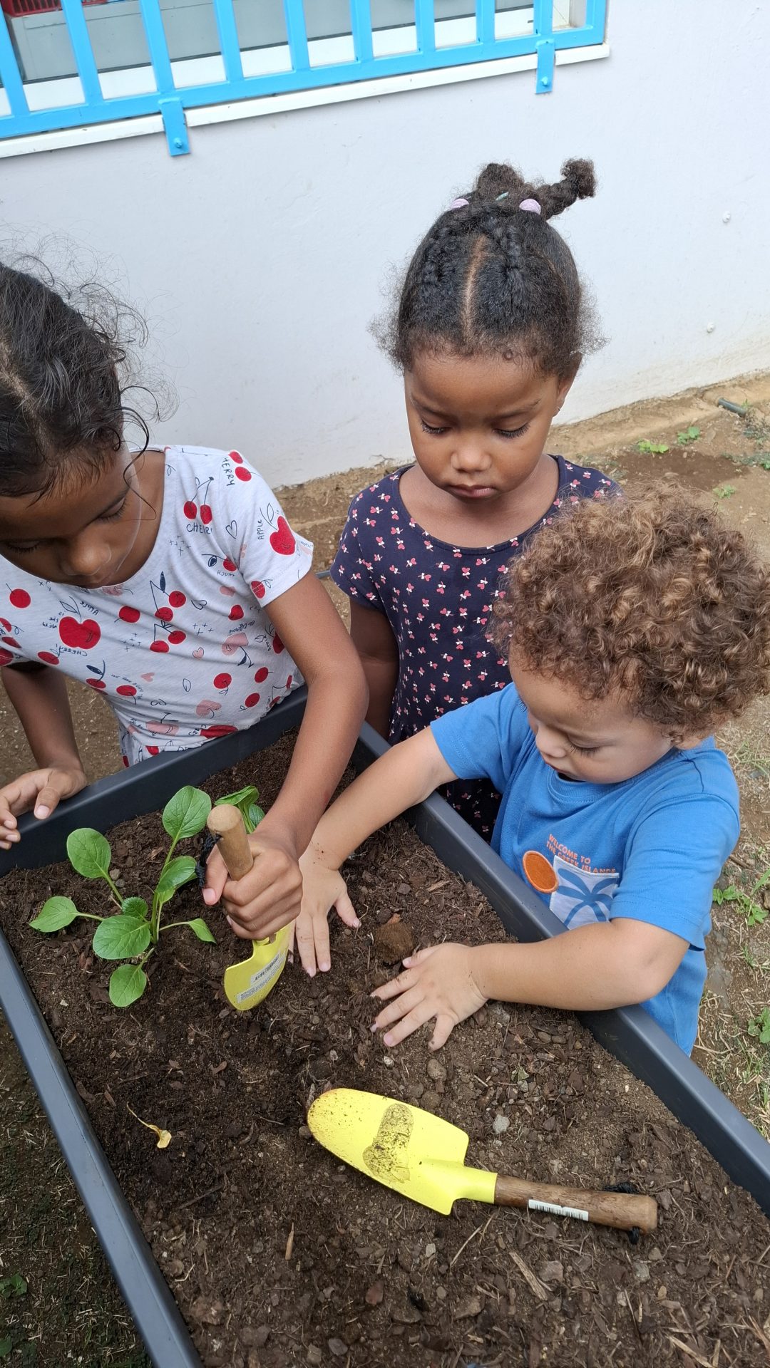 Observation de notre compost et démarrage du potager