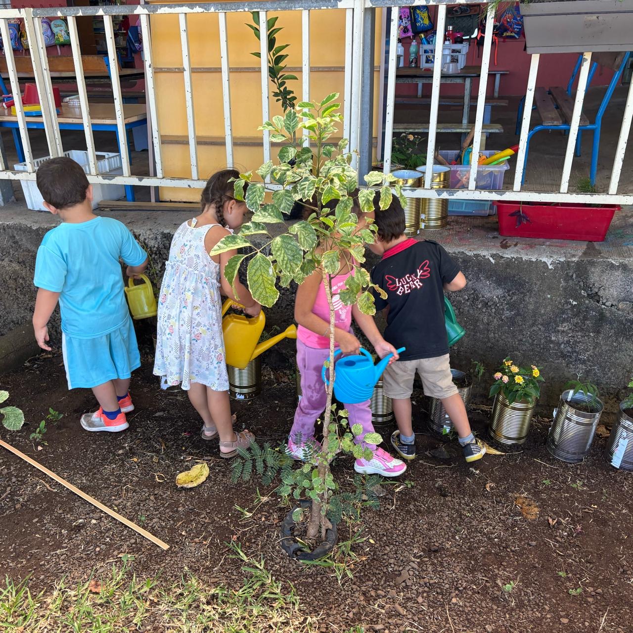 Jardinières de plantes à papillons