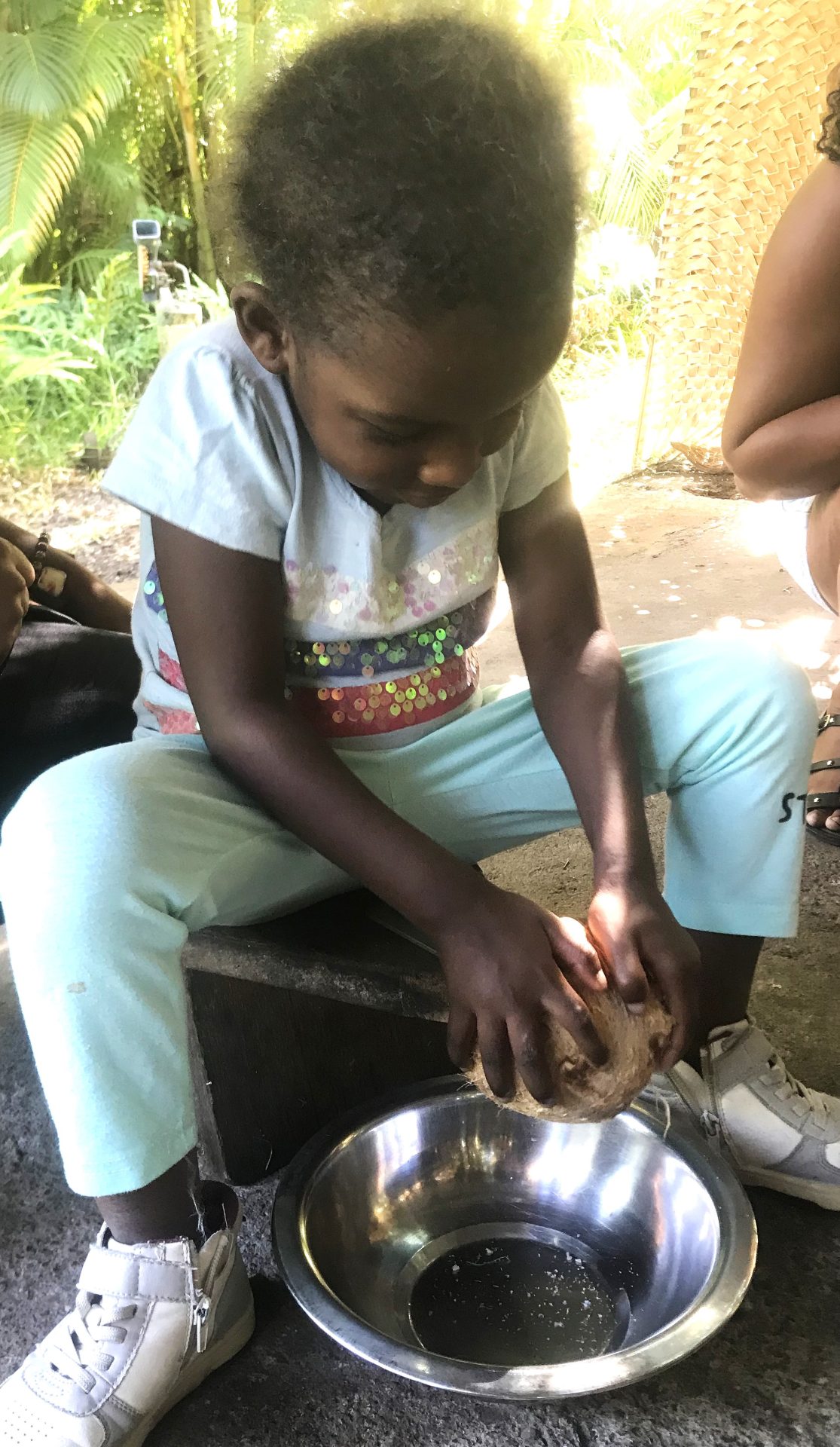 Visite à la ferme des cocos