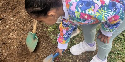 Plantations des TPS PS : un jardin à goûter!