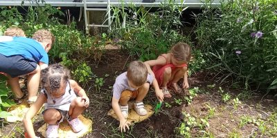 Entretien et plantations dans le nouveau carré potager