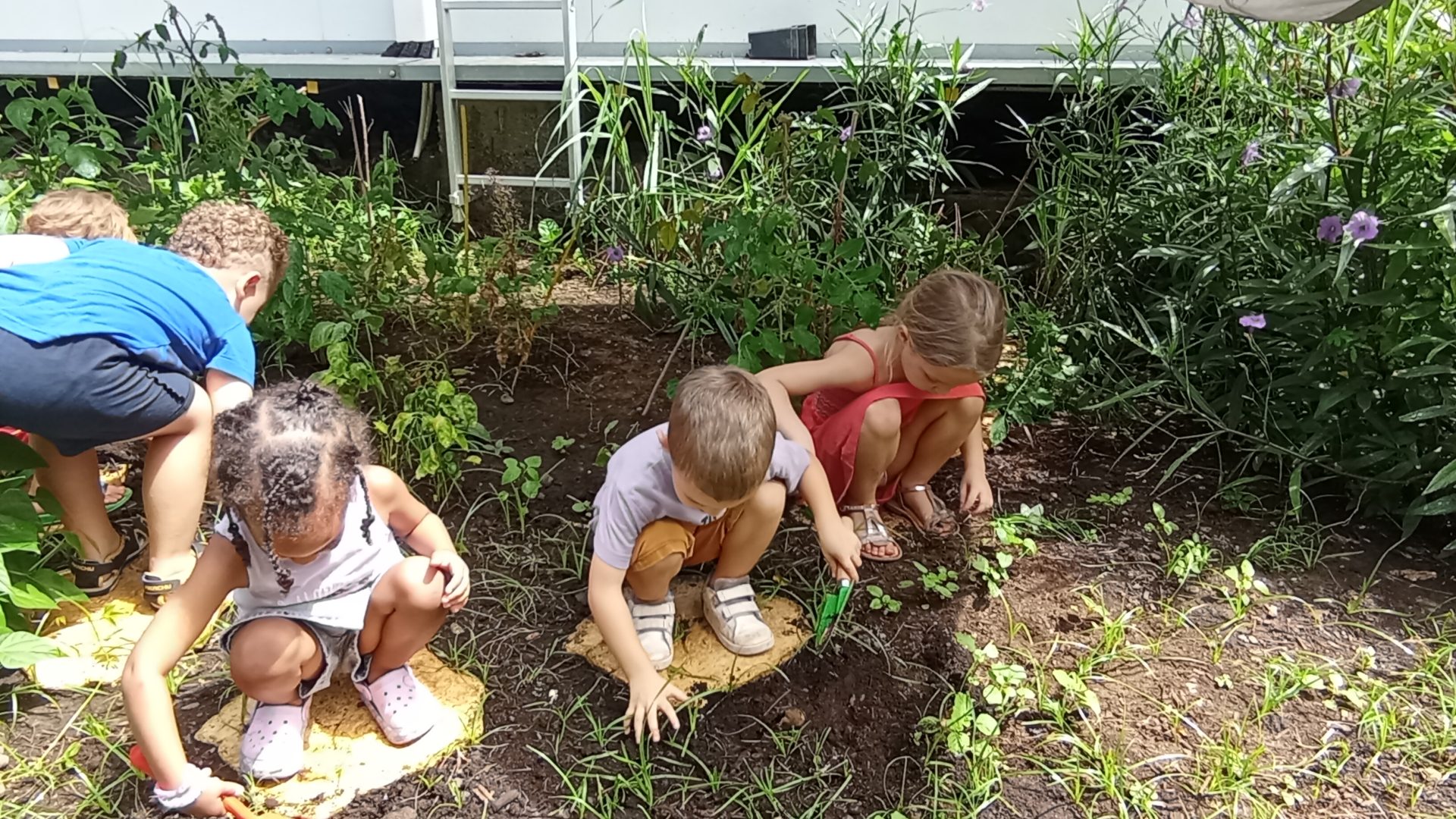 Entretien et plantations dans le nouveau carré potager