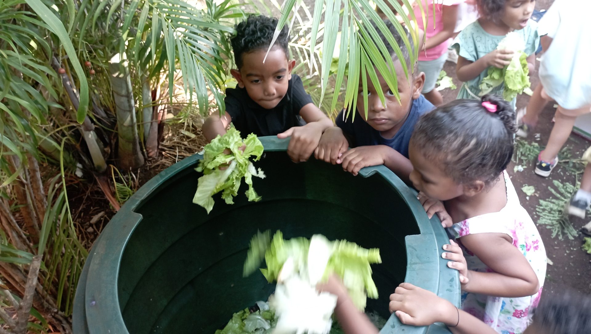 Enrichissement du composteur