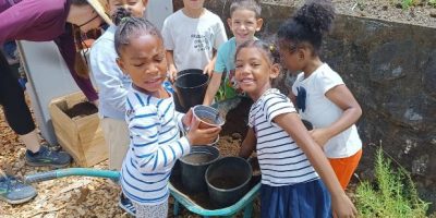 ATELIER DE PLANTATION DANS LA COURS OASIS