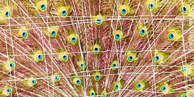Visite à la ferme Crescence