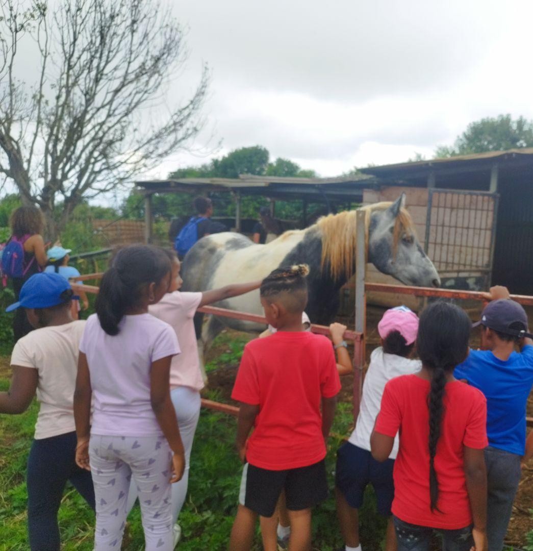Une journée à la ferme Crescence