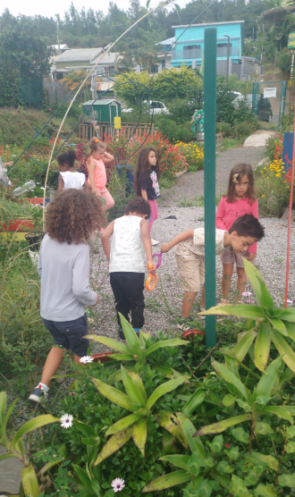 Les petites bêtes du jardin