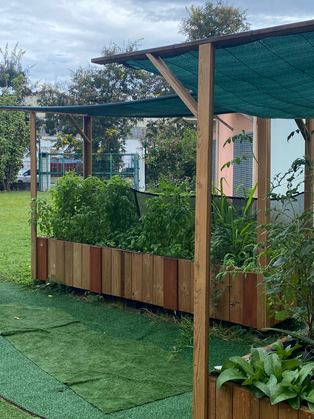 De la graine au pesto