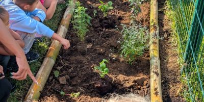 Des ateliers nature et écoresponsables avec l’association Permakiltir