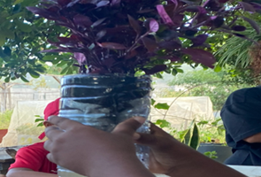 Notre visite au jardin de BOLON avec l’association AKG