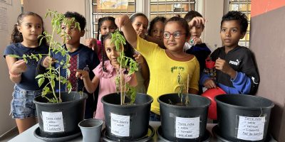 Comment poussent les plantes ? – CE1 P