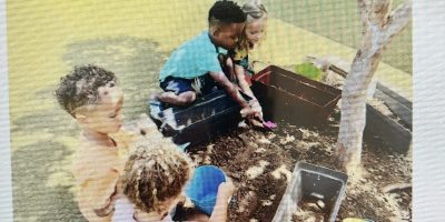 Le potager