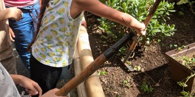Jardinons avec les CP