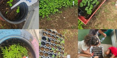 Notre potager prend vie !