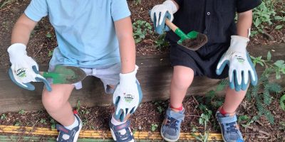 Plantations avec les petites sections