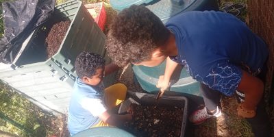 Le compost à l’école