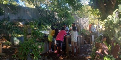 Les CE2B de l’école Léonide Letoullec visitent le  jardin Bolon