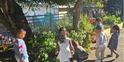 Les Maternelles découvrent le jardinage
