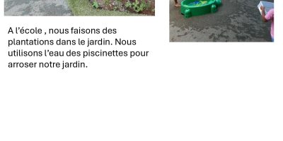Plantations en classe passerelle