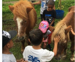 Ecole Françoise Dolto : Les petits aventuriers de PS et MS découvrent la ferme Crescence !