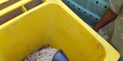 Faire du compost, c’est trop facile!!!!
