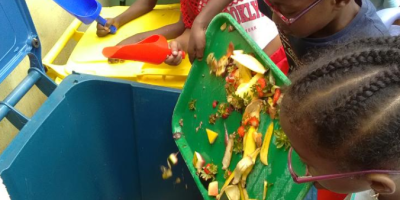 Salade de fruits, jolie, jolie… Tu plais à mon compost!