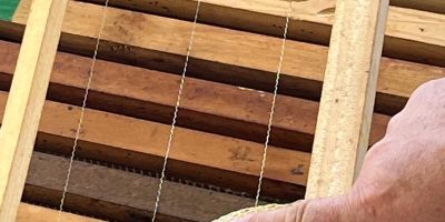 Une ruche c’est comment à l’intérieur ?