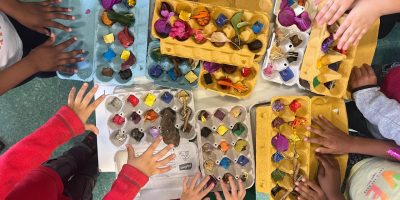 Les boîtes à œufs de la biodiversité