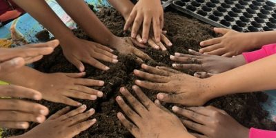Un atelier plantation tout en douceur