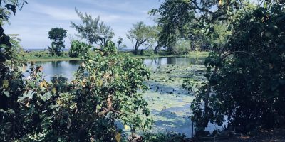 Visite d’un site exceptionnel, l’Etang Saint-Paul