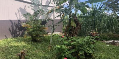 La bonne santé du jardin