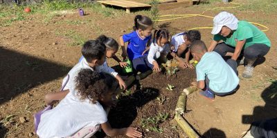 Le rond potager de la cour oasis : un espace vivant au service des apprentissages, du bien-être et de la transition écologique