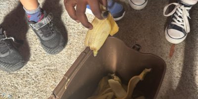 Compostage desépluchures des fruits du goûter en PS-MS