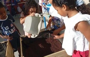 Installation des jardinières et plantation