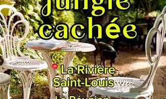 Jungle à Pat