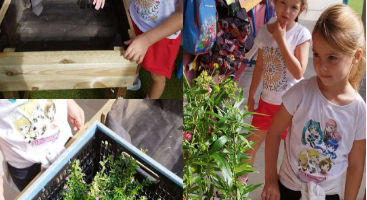 Cl Plantations en classe de Grande Section B
